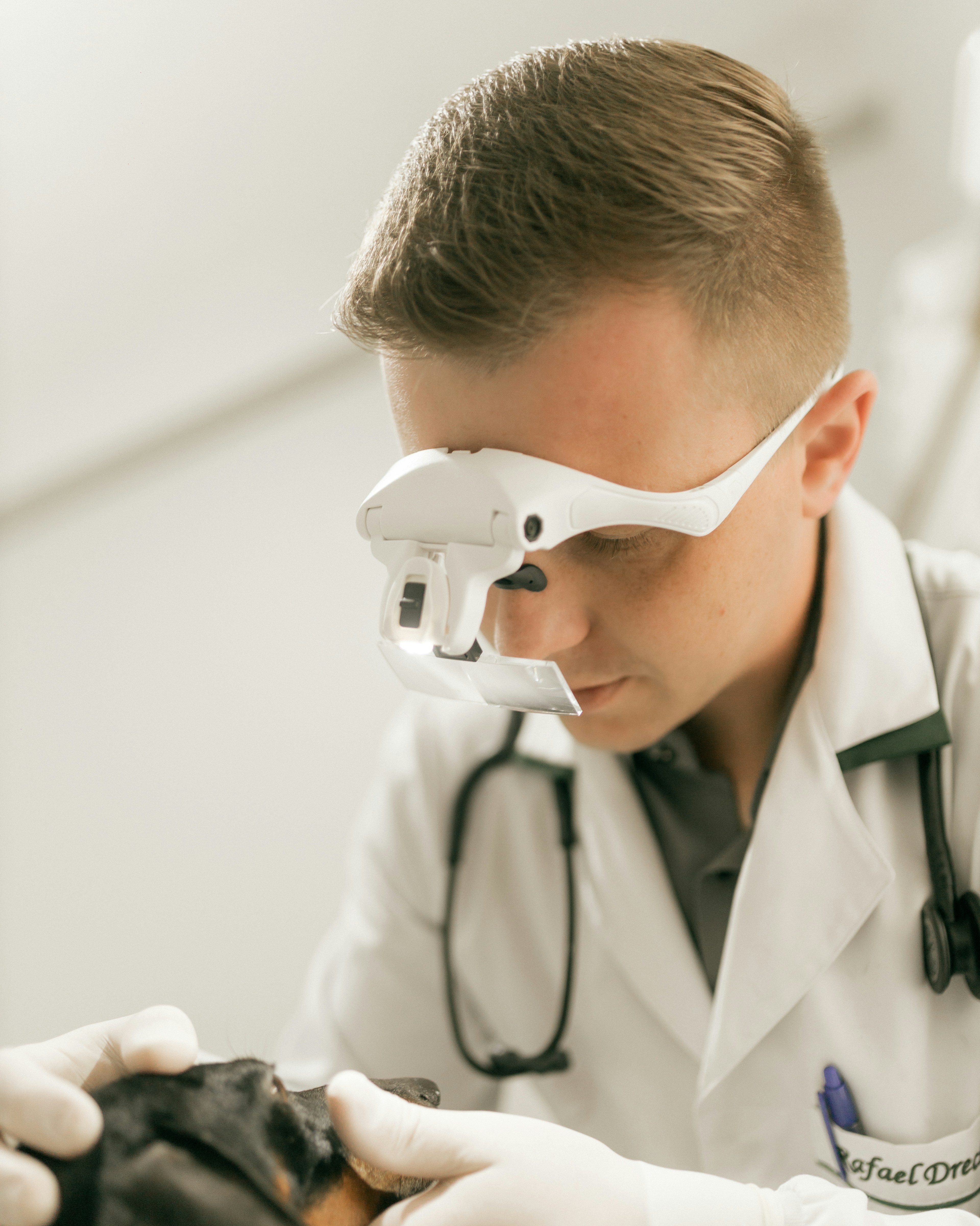 Medic veterinar în timpul unei investigații